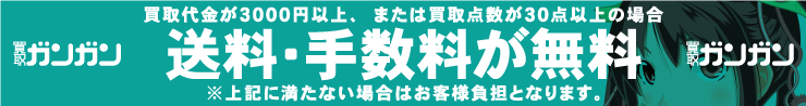 送料手数料無料